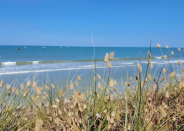 Chez Manie Et Mablot * Créances